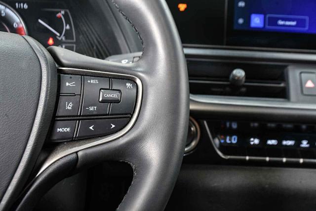 2024 Lexus UX 250h Vehicle Photo in DALLAS, TX 75235