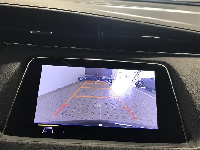 2019 Cadillac XT4 Vehicle Photo in GREEN BAY, WI 54303-3330