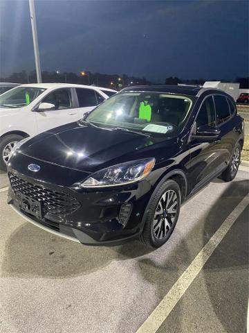 2020 Ford Escape Vehicle Photo in ALCOA, TN 37701-3235