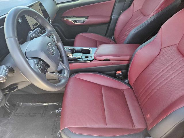 2024 Lexus NX 250 Vehicle Photo in FORT WORTH, TX 76132