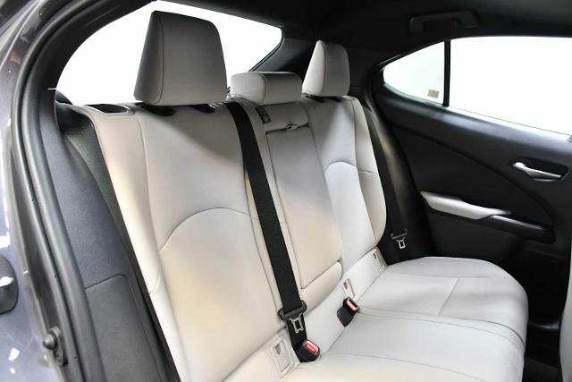 2024 Lexus UX 250h Vehicle Photo in DALLAS, TX 75235