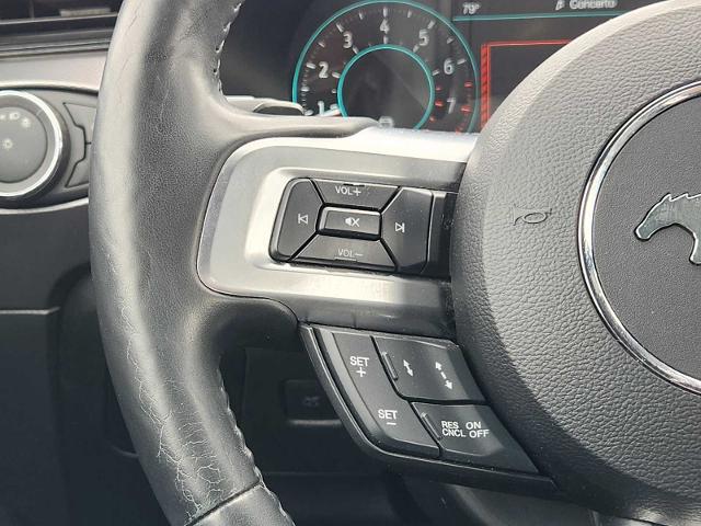 2019 Ford Mustang Vehicle Photo in DALLAS, TX 75209