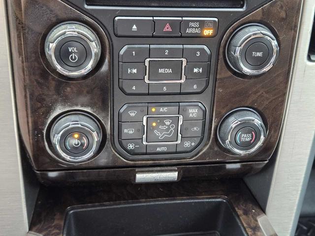 2014 Ford F-150 Vehicle Photo in DENTON, TX 76210-9321