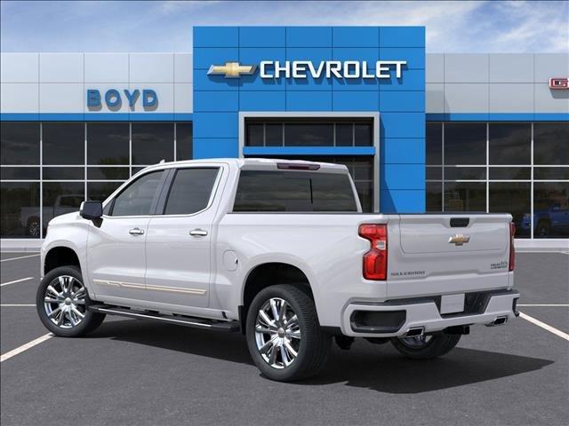 2025 Chevrolet Silverado 1500 Vehicle Photo in EMPORIA, VA 23847-1235