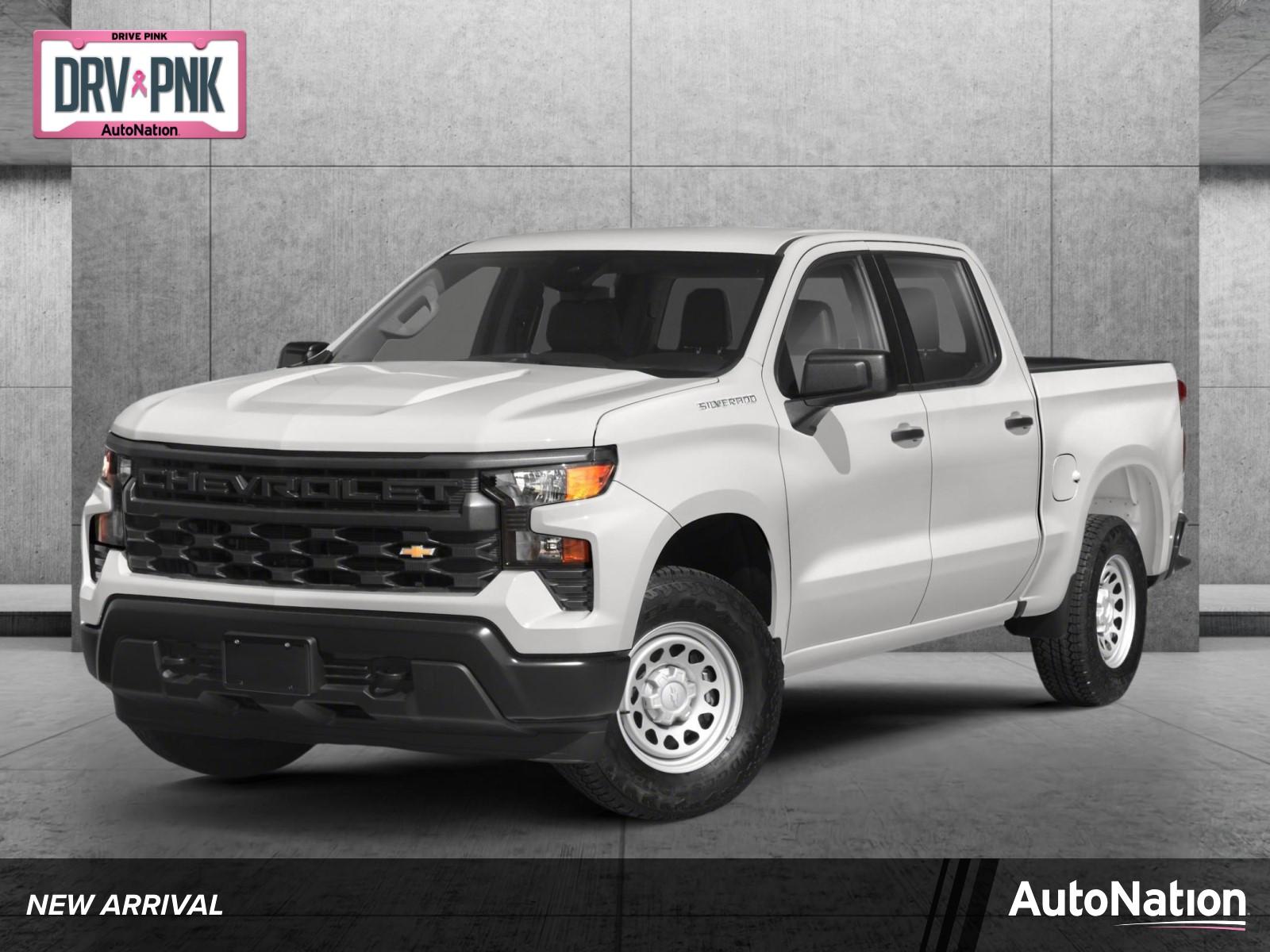 2023 Chevrolet Silverado 1500 Vehicle Photo in Hollywood, FL 33021