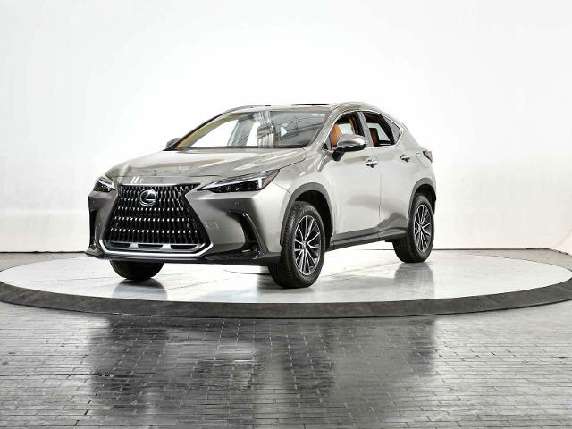 2025 Lexus NX 250 Vehicle Photo in DALLAS, TX 75235