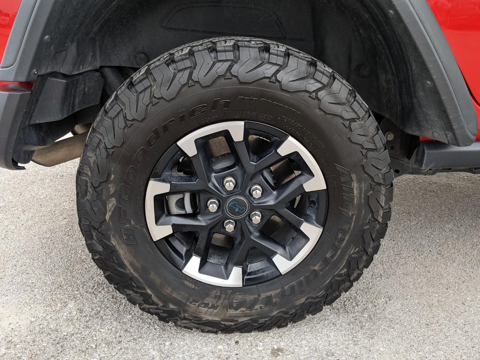 2024 Jeep Wrangler 4xe Vehicle Photo in Seguin, TX 78155