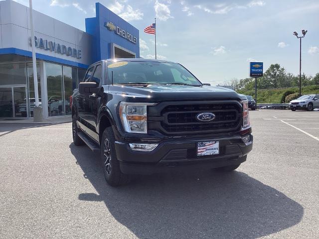 2022 Ford F-150 Vehicle Photo in Gardner, MA 01440