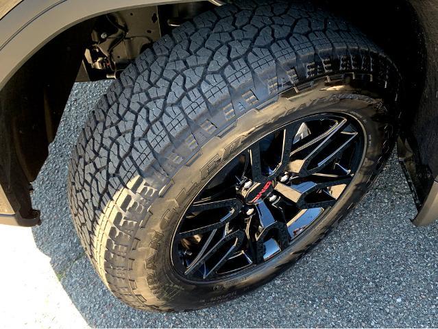2025 GMC Sierra 1500 Vehicle Photo in BEAUFORT, SC 29906-4218