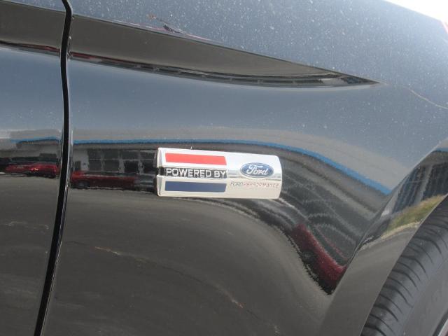 2022 Ford Mustang Vehicle Photo in LEESBURG, FL 34788-4022