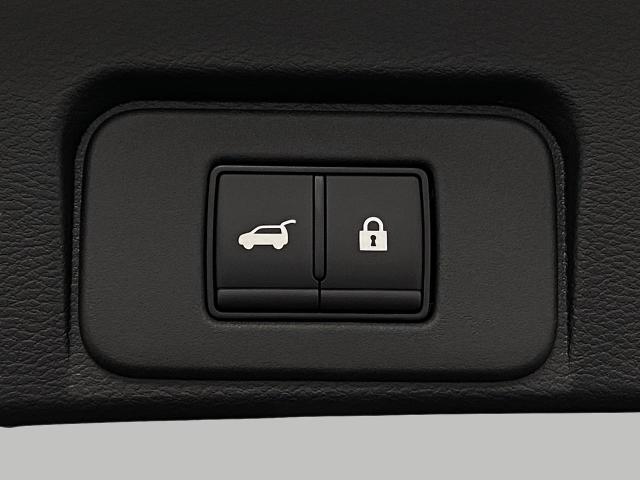 2025 Nissan Rogue Vehicle Photo in Appleton, WI 54913