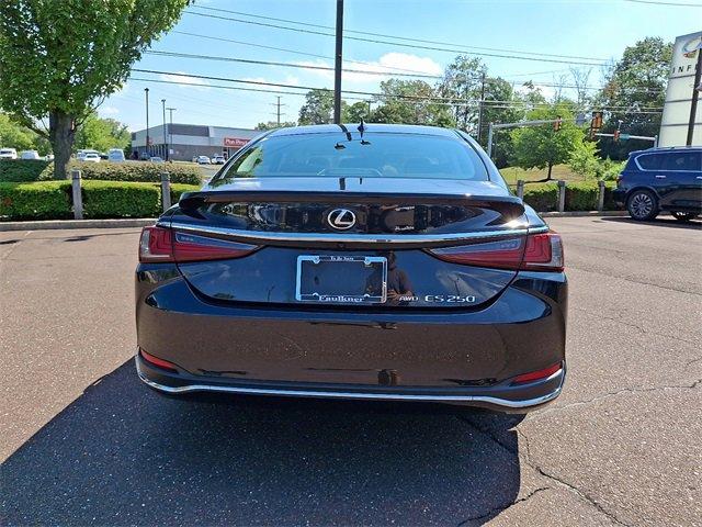 2021 Lexus ES 250 Vehicle Photo in Willow Grove, PA 19090