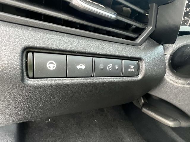 2019 Nissan Altima Vehicle Photo in Roslyn, NY 11576
