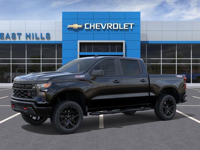 2025 Chevrolet Silverado 1500 Vehicle Photo in Roslyn, NY 11576
