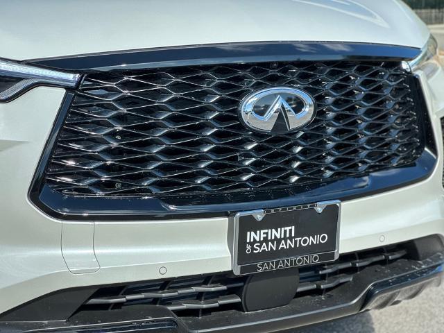 2025 INFINITI QX60 Vehicle Photo in San Antonio, TX 78230