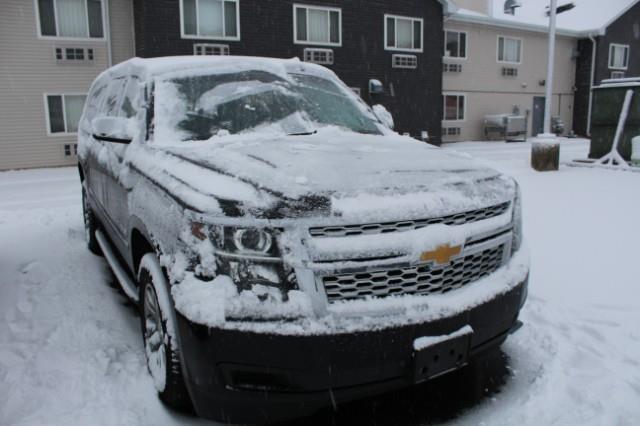 2019 Chevrolet Suburban Vehicle Photo in Green Bay, WI 54304