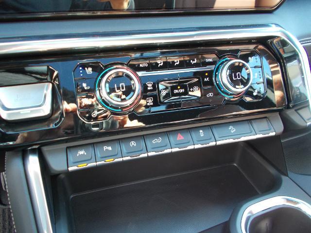 2025 GMC Sierra 1500 Vehicle Photo in LOWELL, MA 01852-4336