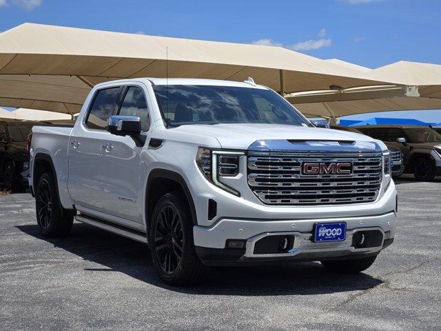 2022 GMC Sierra 1500 Vehicle Photo in Decatur, TX 76234