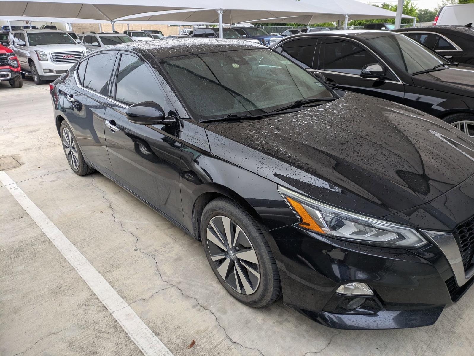 2019 Nissan Altima Vehicle Photo in SELMA, TX 78154-1460