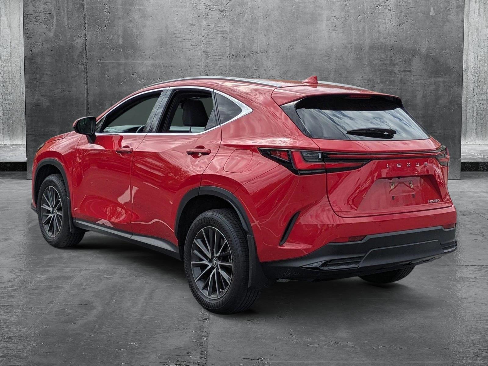 2022 Lexus NX 250 Vehicle Photo in Clearwater, FL 33761