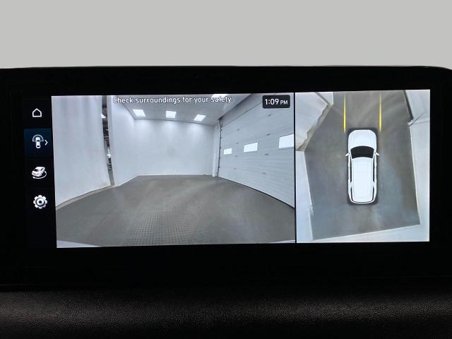 2024 Hyundai PALISADE Vehicle Photo in Appleton, WI 54914
