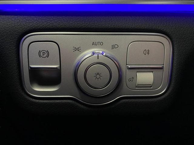 2025 Mercedes-Benz GLS Vehicle Photo in Appleton, WI 54913