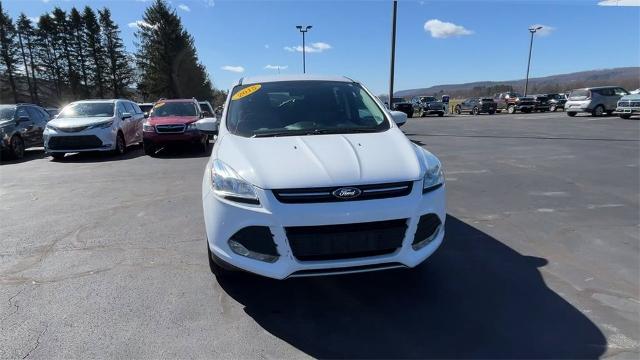 2015 Ford Escape Vehicle Photo in TULLY, NY 13159-3159