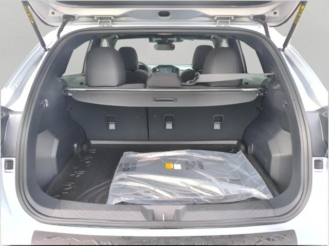 2025 Subaru Crosstrek Vehicle Photo in Green Bay, WI 54304