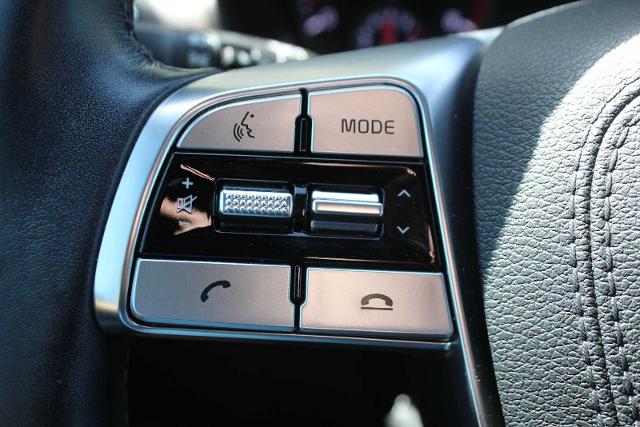 2022 Kia Telluride Vehicle Photo in DALLAS, TX 75209