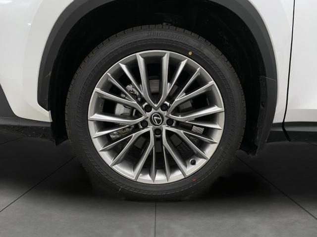 2025 Lexus NX 350 Vehicle Photo in Appleton, WI 54913