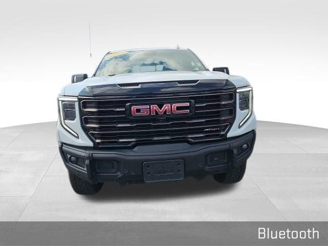 2023 GMC Sierra 1500 Vehicle Photo in Fishers, IN 46038