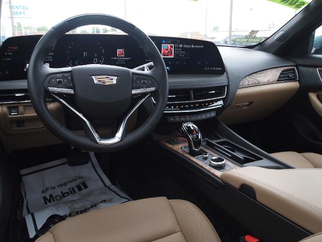 2025 Cadillac CT5 Vehicle Photo in MADISON, IN 47250-1611