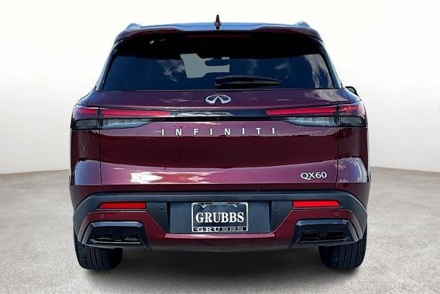 2024 INFINITI QX60 Vehicle Photo in San Antonio, TX 78230