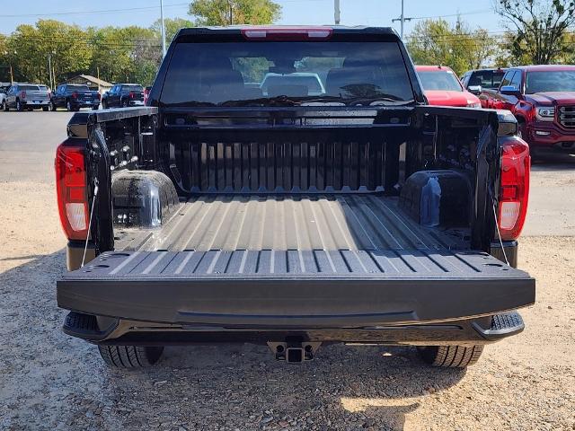 2025 GMC Sierra 1500 Vehicle Photo in PARIS, TX 75460-2116