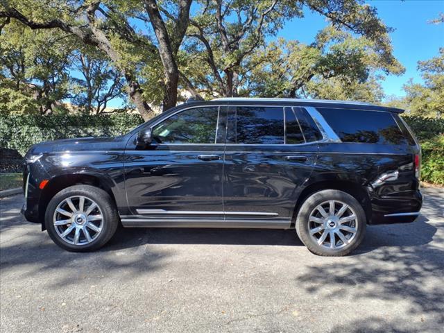 2021 Cadillac Escalade Vehicle Photo in SAN ANTONIO, TX 78230-1001