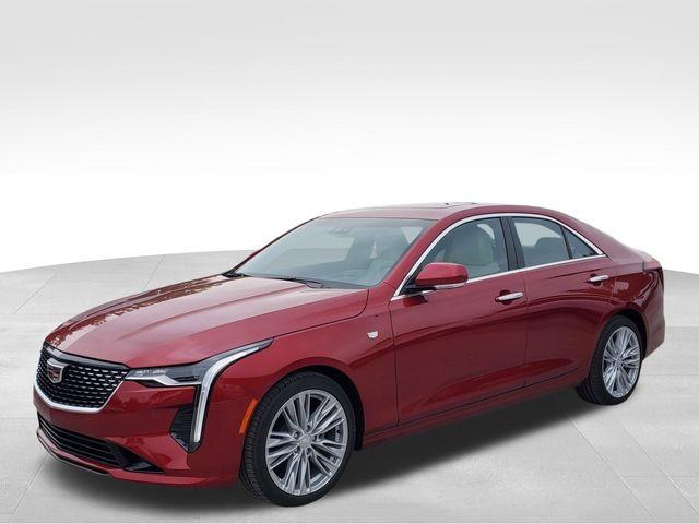 2025 Cadillac CT4 Vehicle Photo in DELRAY BEACH, FL 33483-3294