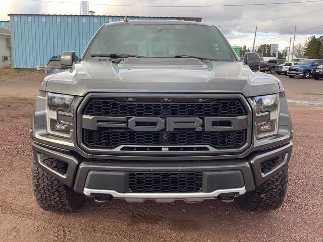 2019 Ford F-150 Raptor photo 7