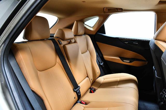 2025 Lexus NX 250 Vehicle Photo in DALLAS, TX 75235