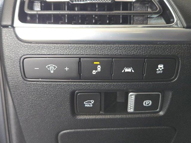 2020 Hyundai PALISADE Vehicle Photo in Decatur, TX 76234