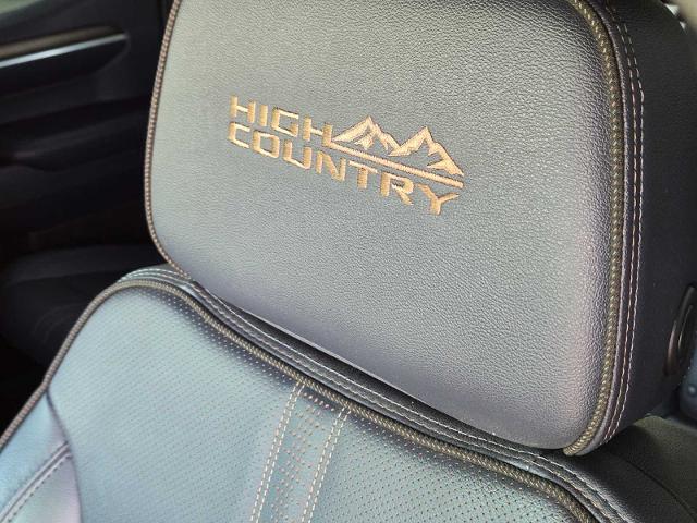 2022 Chevrolet Silverado 1500 Vehicle Photo in DENTON, TX 76210-9321