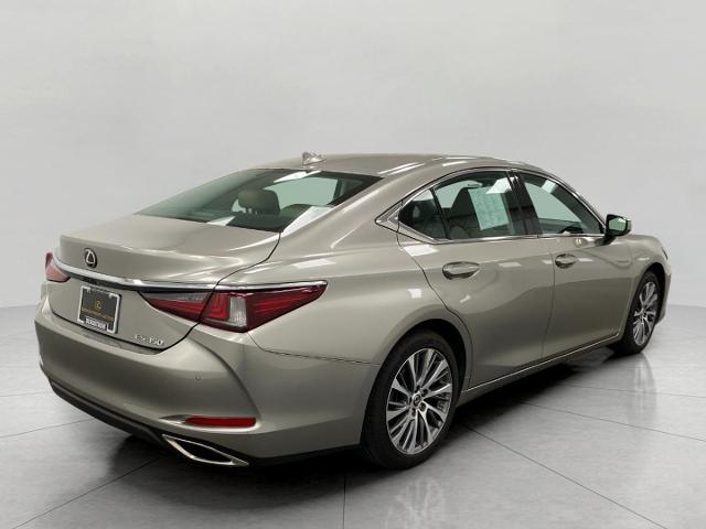 2019 Lexus ES 350 Vehicle Photo in Appleton, WI 54913