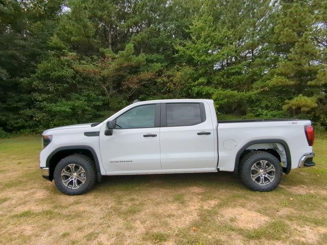 2024 GMC Sierra 1500 Vehicle Photo in ALBERTVILLE, AL 35950-0246