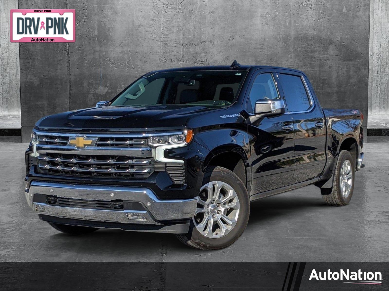 2023 Chevrolet Silverado 1500 Vehicle Photo in TIMONIUM, MD 21093-2300