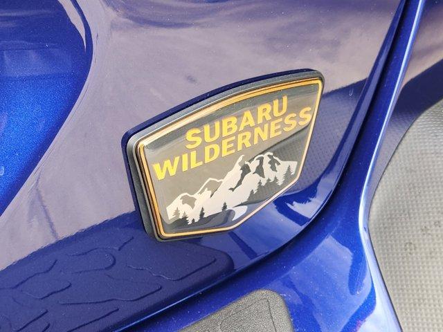 2024 Subaru Crosstrek Vehicle Photo in DALLAS, TX 75209