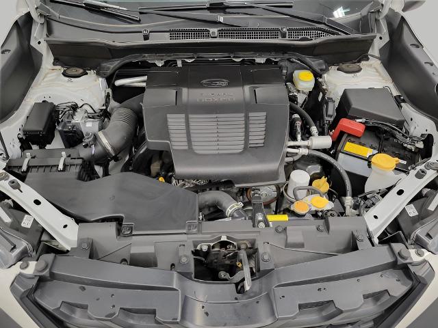 2024 Subaru Forester Vehicle Photo in Oshkosh, WI 54904