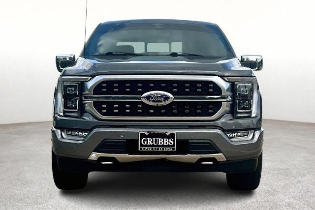 2023 Ford F-150 Vehicle Photo in Houston, TX 77007