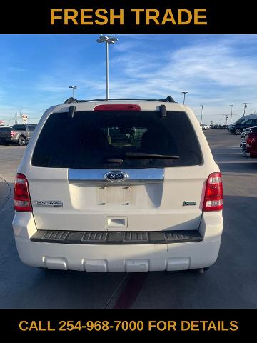 2012 Ford Escape Vehicle Photo in STEPHENVILLE, TX 76401-3713