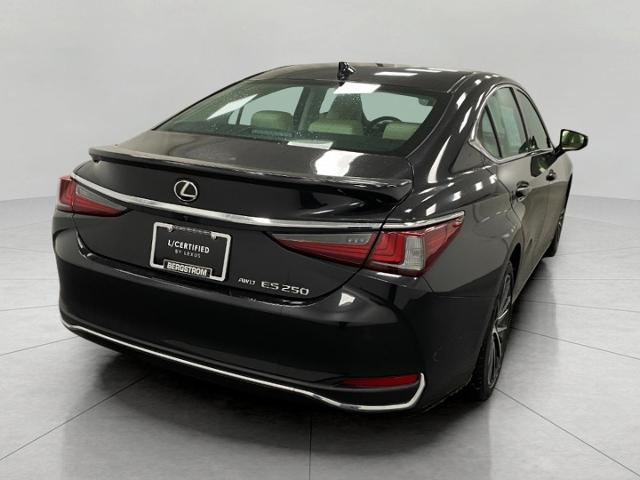 2022 Lexus ES 250 Vehicle Photo in Appleton, WI 54913