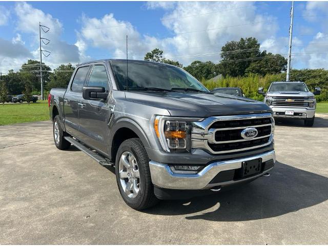 2021 Ford F-150 Vehicle Photo in LAFAYETTE, LA 70503-4541