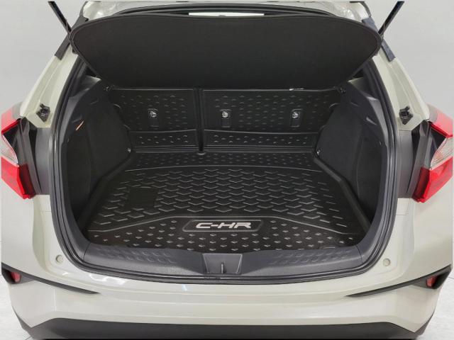 2019 Toyota C-HR Vehicle Photo in APPLETON, WI 54914-4656